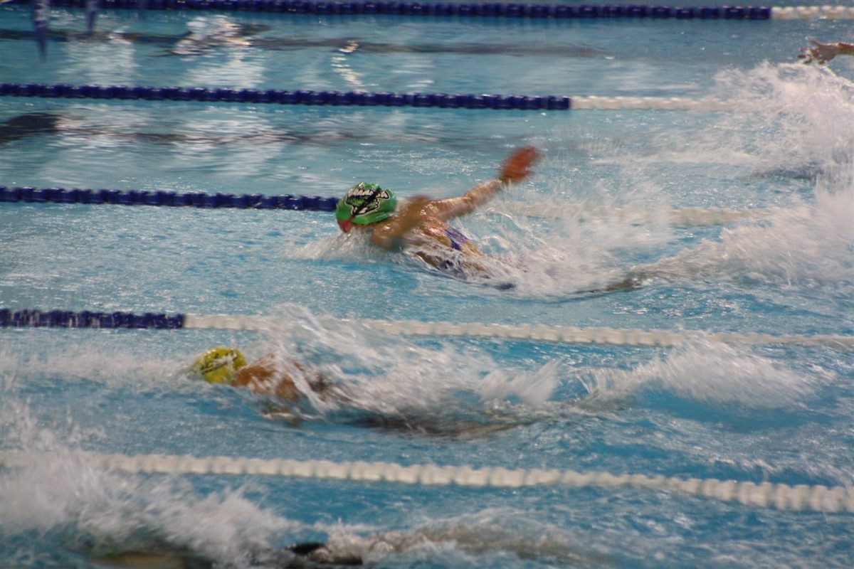 Swimming butterfly in a race